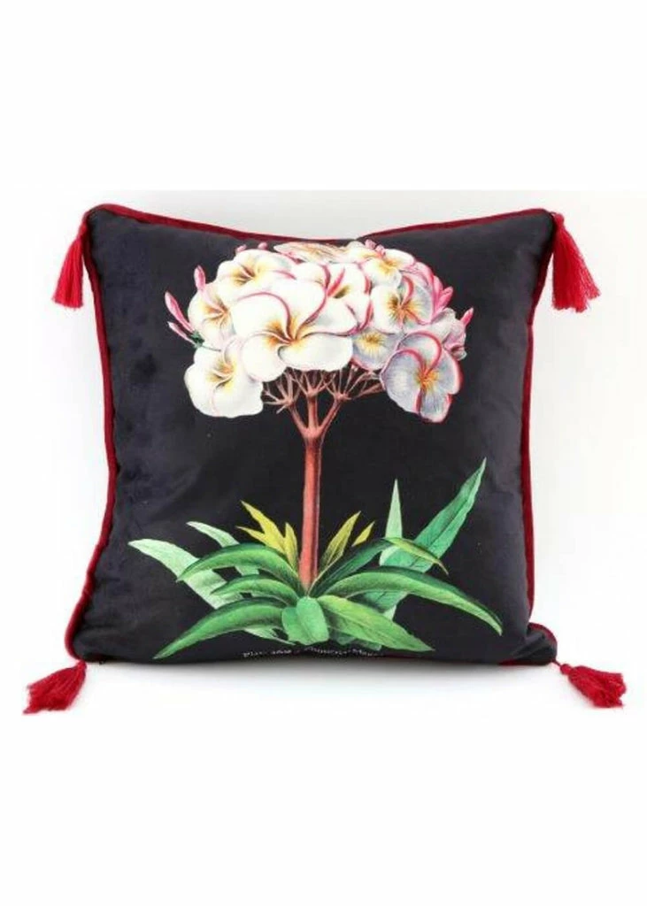 Temerity Jones Botanical Garden Cushion Black Green - Image 2